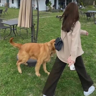知情者