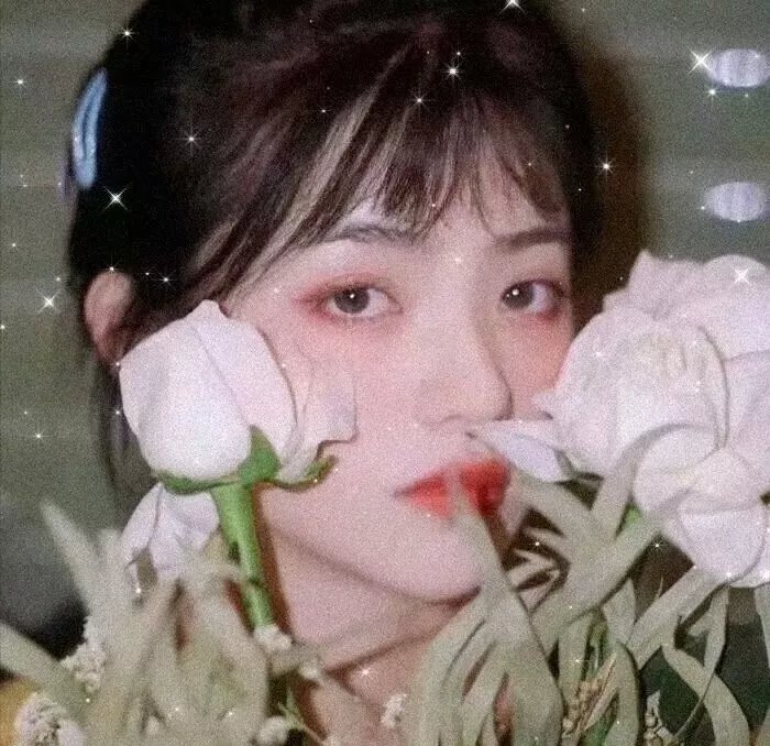 梨子树